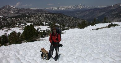 photo of scenery, snow, and dog