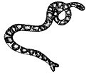 [snake]