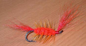 cinder worm