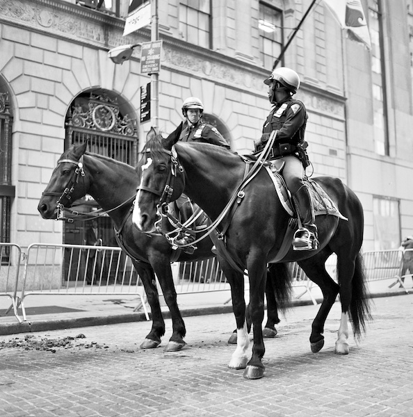 Mounted NYPD